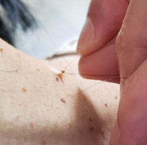 2. 髪の毛で結んで引っぱって爪切りでカット